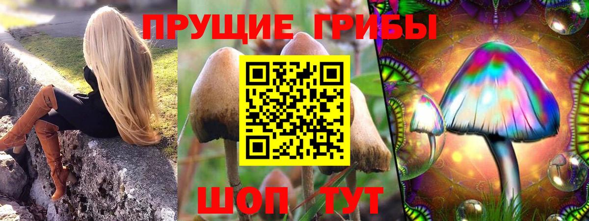 Галлюциногенные грибы Psilocybe  Вход с VPN  Галлюциногенные грибы прущие грибы  Моздок 
