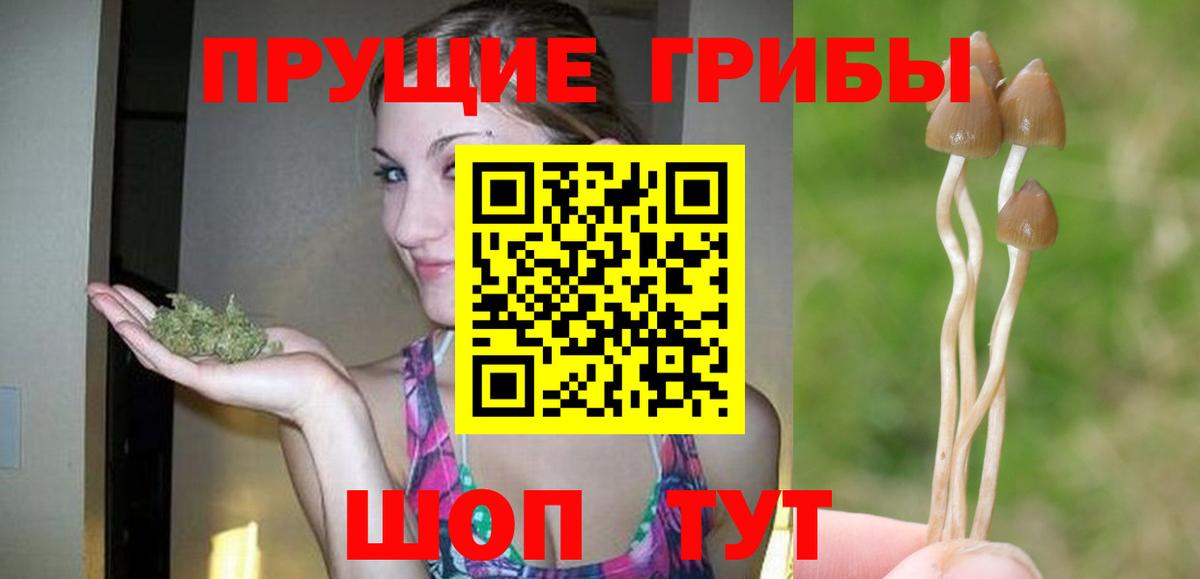 Псилоцибиновые грибы GOLDEN TEACHER Моздок