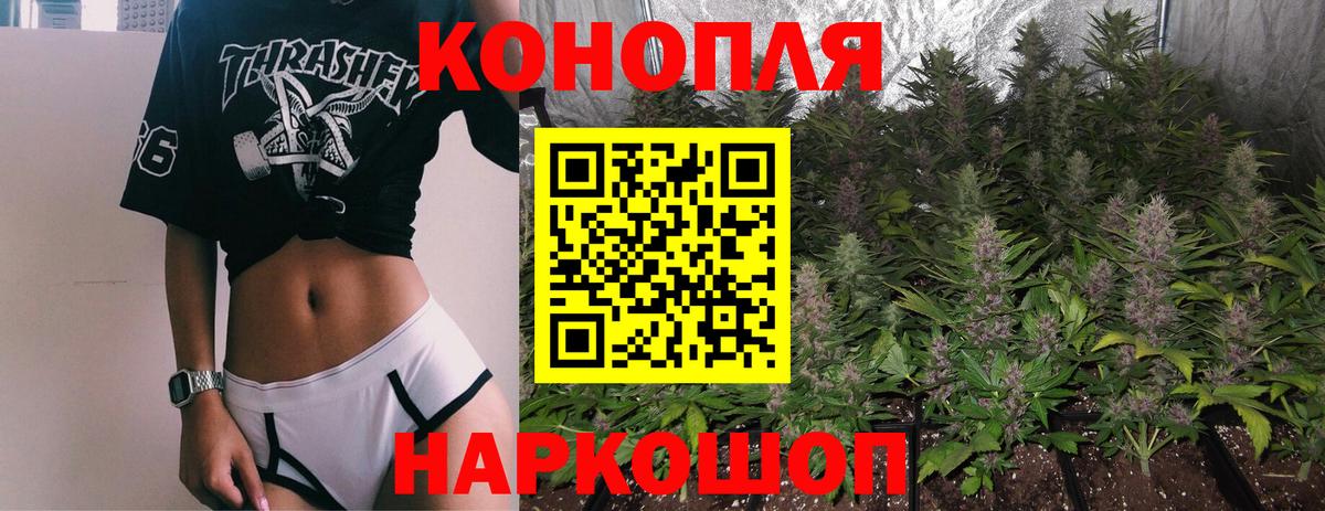 Бошки Шишки OG Kush Моздок